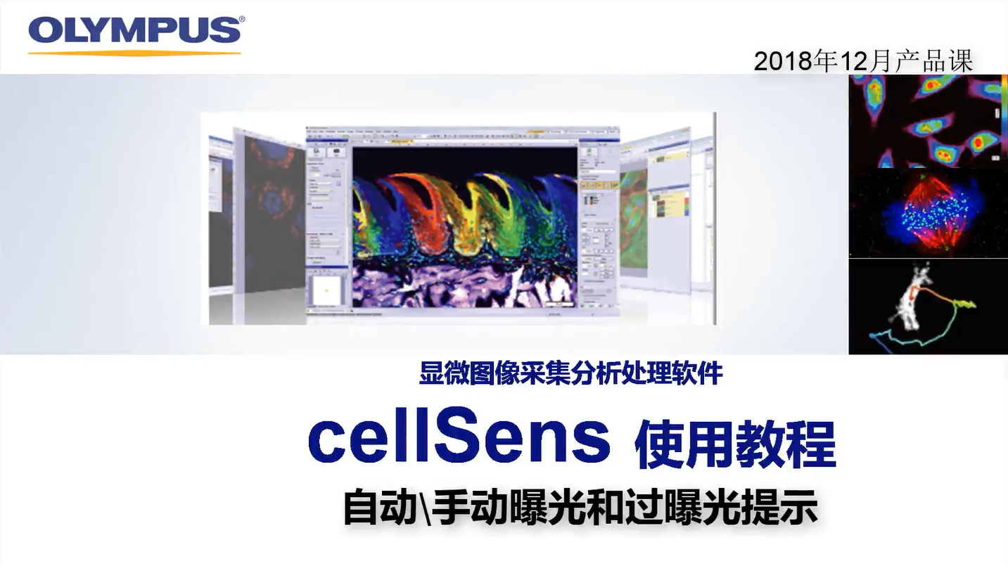 cellSens采集 自动和手动曝光 过曝光提示 | 奥林巴斯生物显微镜