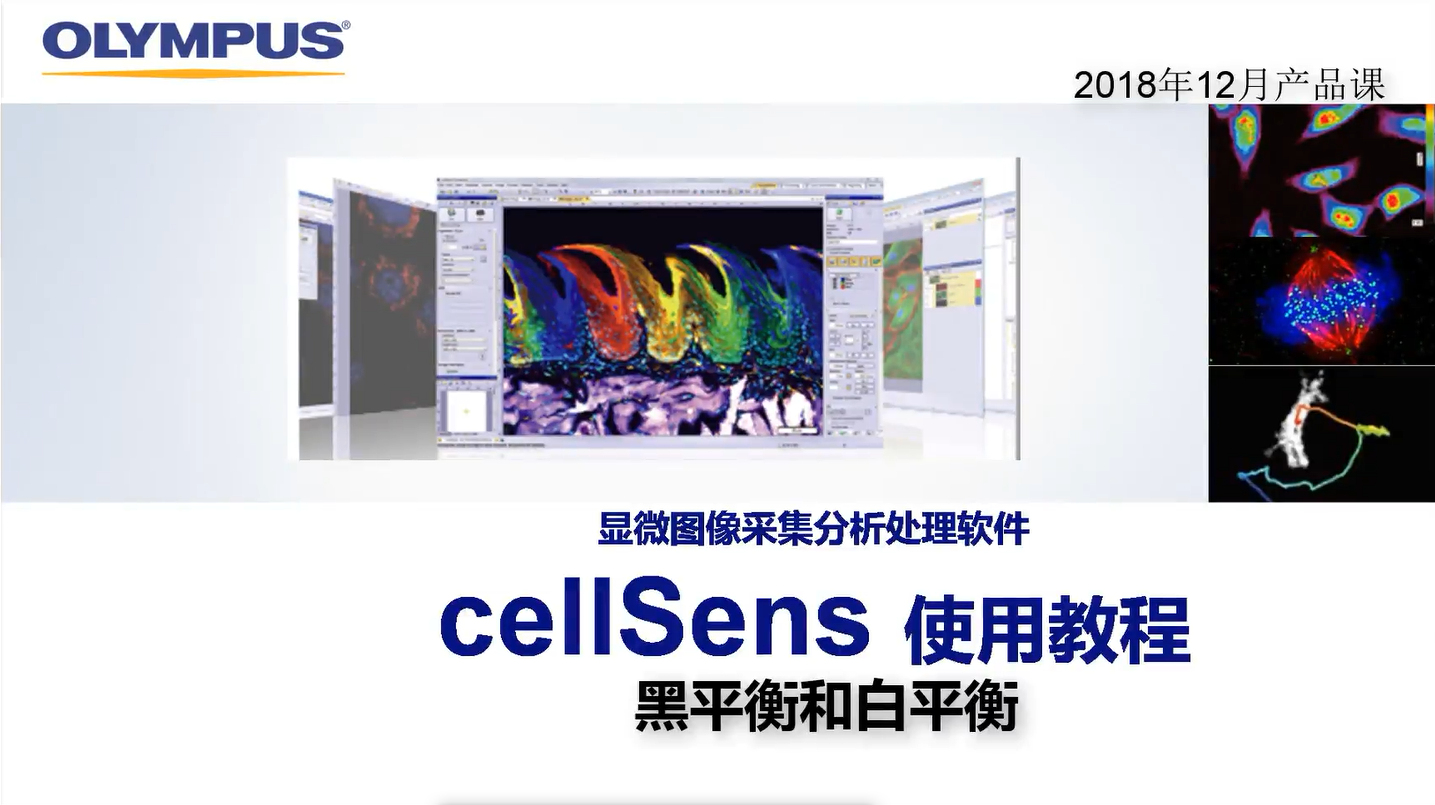 cellSens acquisition-white balance and black balance | Olympus LS