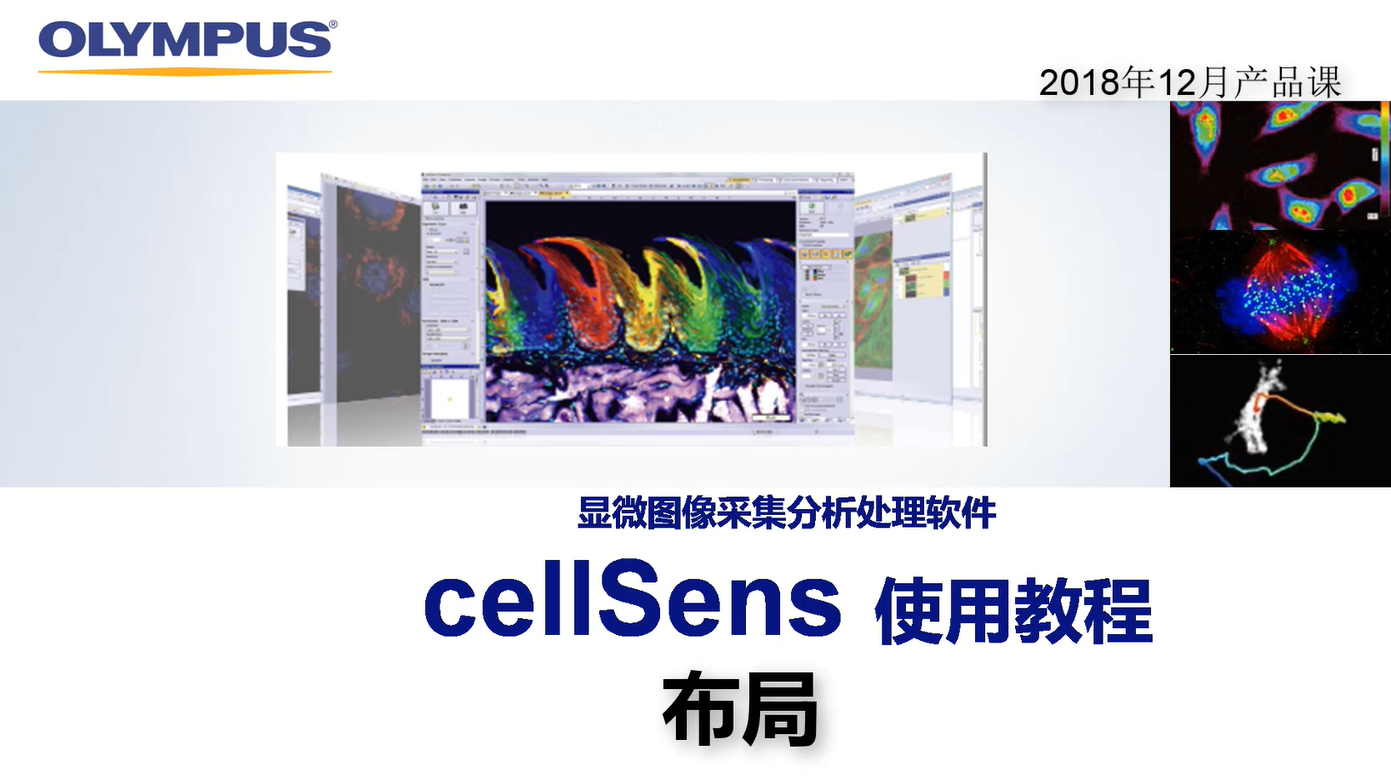 cellSens before using-layout | Olympus LS