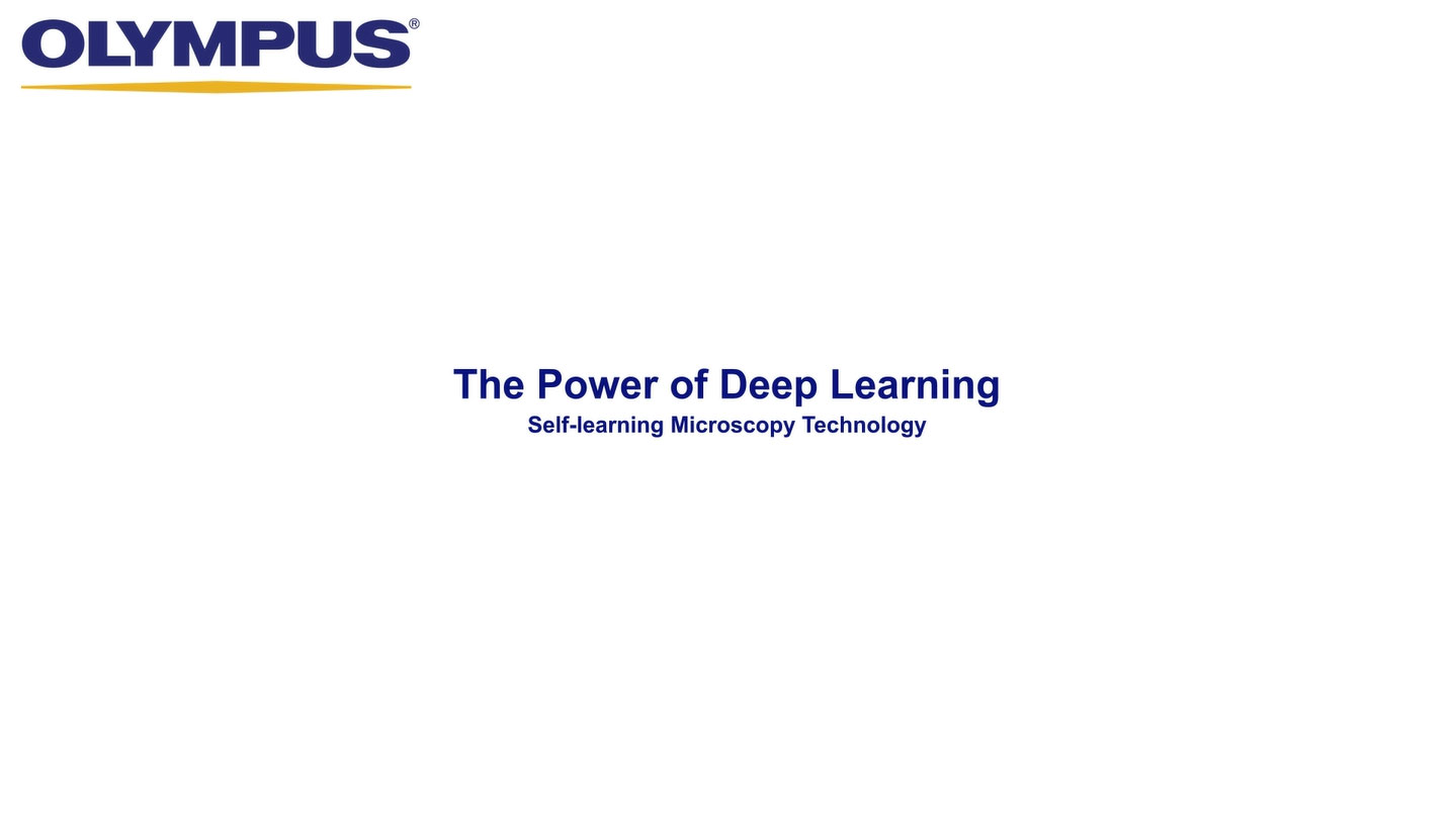 Technology Powered by Deep Learning