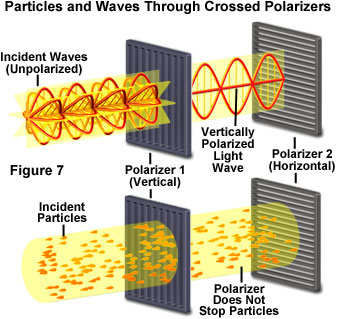 is light a particle or a wave experiment