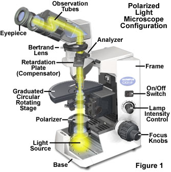 Polarized Light Microscopy - Microscope Alignment